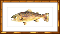 Brown the Trout