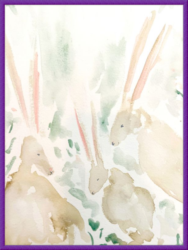 Rabbits