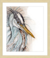 Heron
