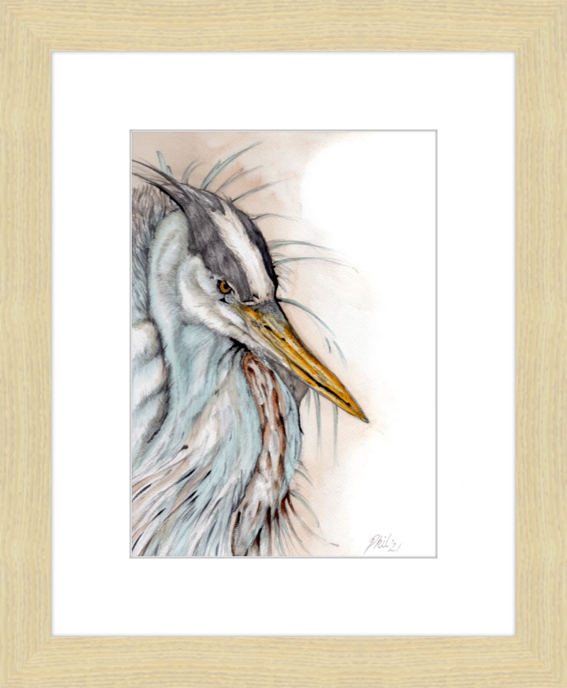 Heron