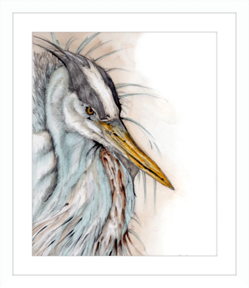 Heron