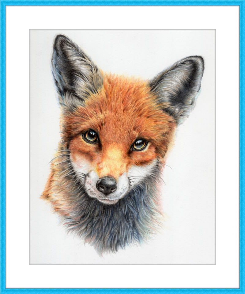 Michael the Red Fox