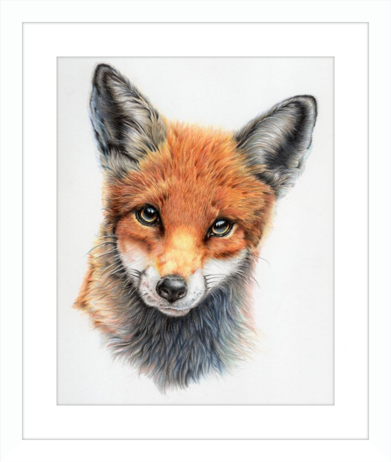 Michael the Red Fox