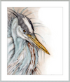 Heron