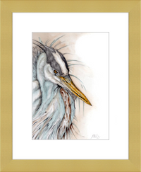 Heron