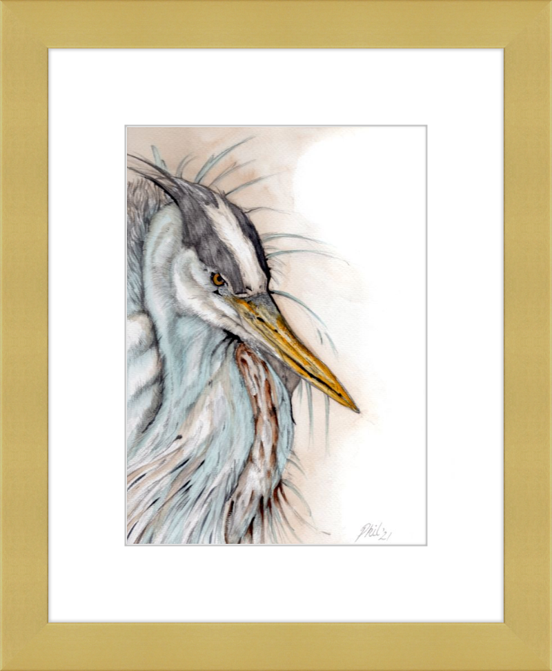 Heron
