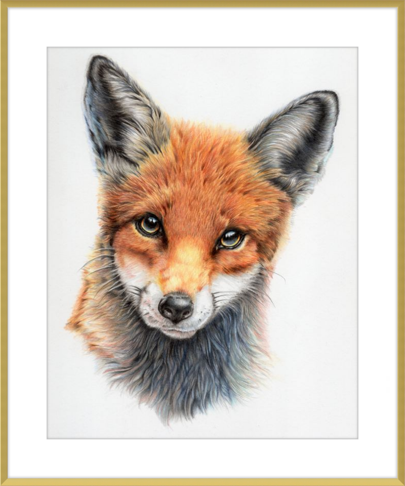 Michael the Red Fox