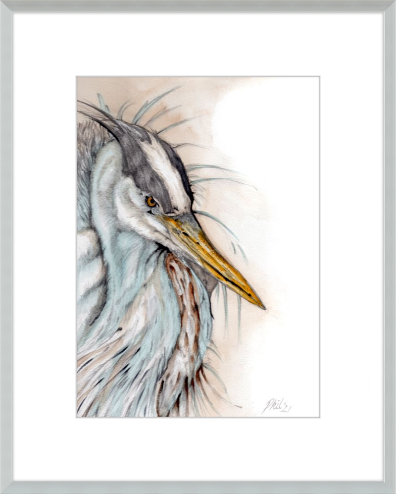 Heron