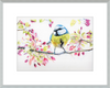 Blue Tit in Blossom