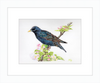 Starling in Blossom