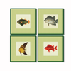 Framed Fishes Found on the Coast of Ceylon (Set of 4)