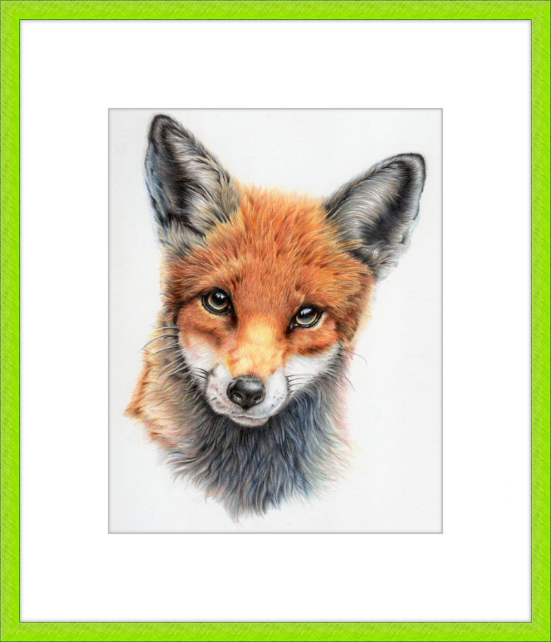 Michael the Red Fox