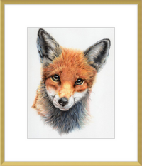 Michael the Red Fox