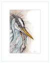 Heron