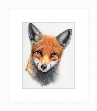 Michael the Red Fox