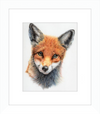 Michael the Red Fox