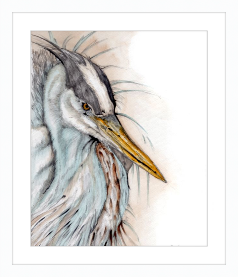 Heron
