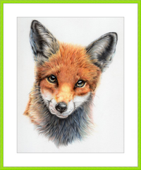 Michael the Red Fox